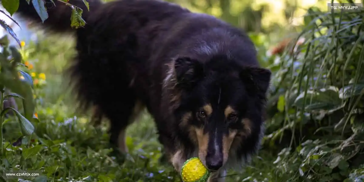 milan米兰🏹瞄准靶心，专注成就每一次命中！