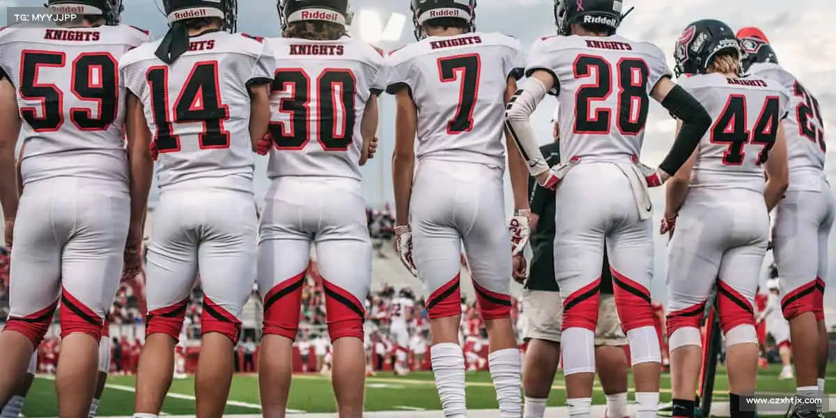 为什么选择我们